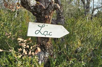A rustic wooden sign pointing towards 'Lac' invites guests to explore the natural wonders surrounding the campsite, adding to the resort's charm.