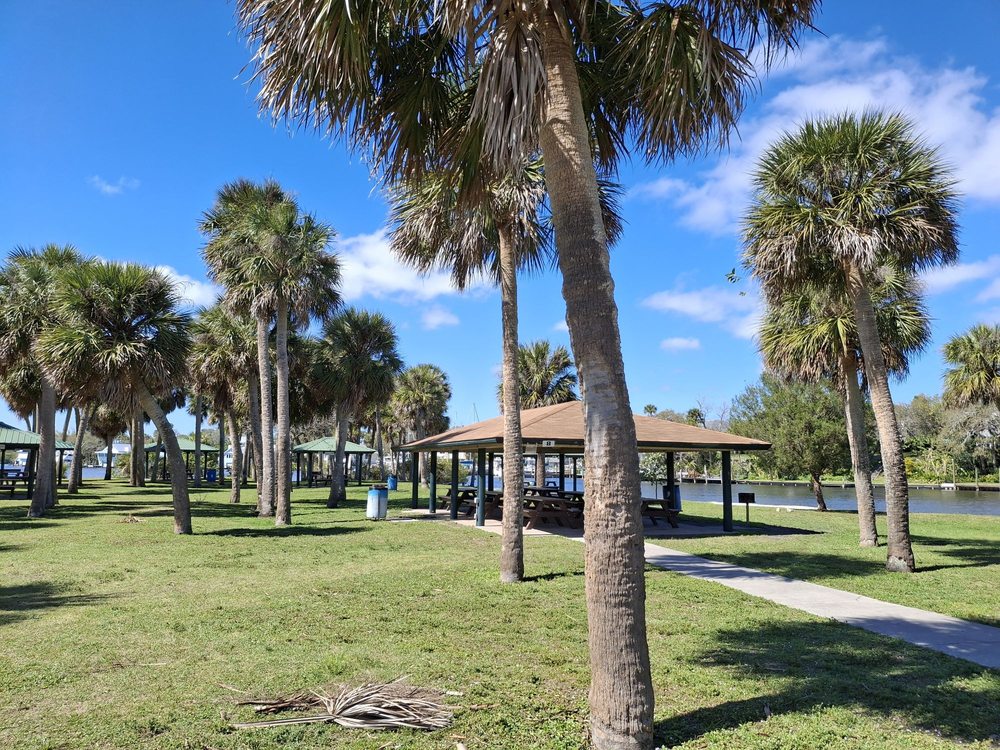 image Relax under swaying palms in this serene park setting, perfect for a peaceful afternoon.