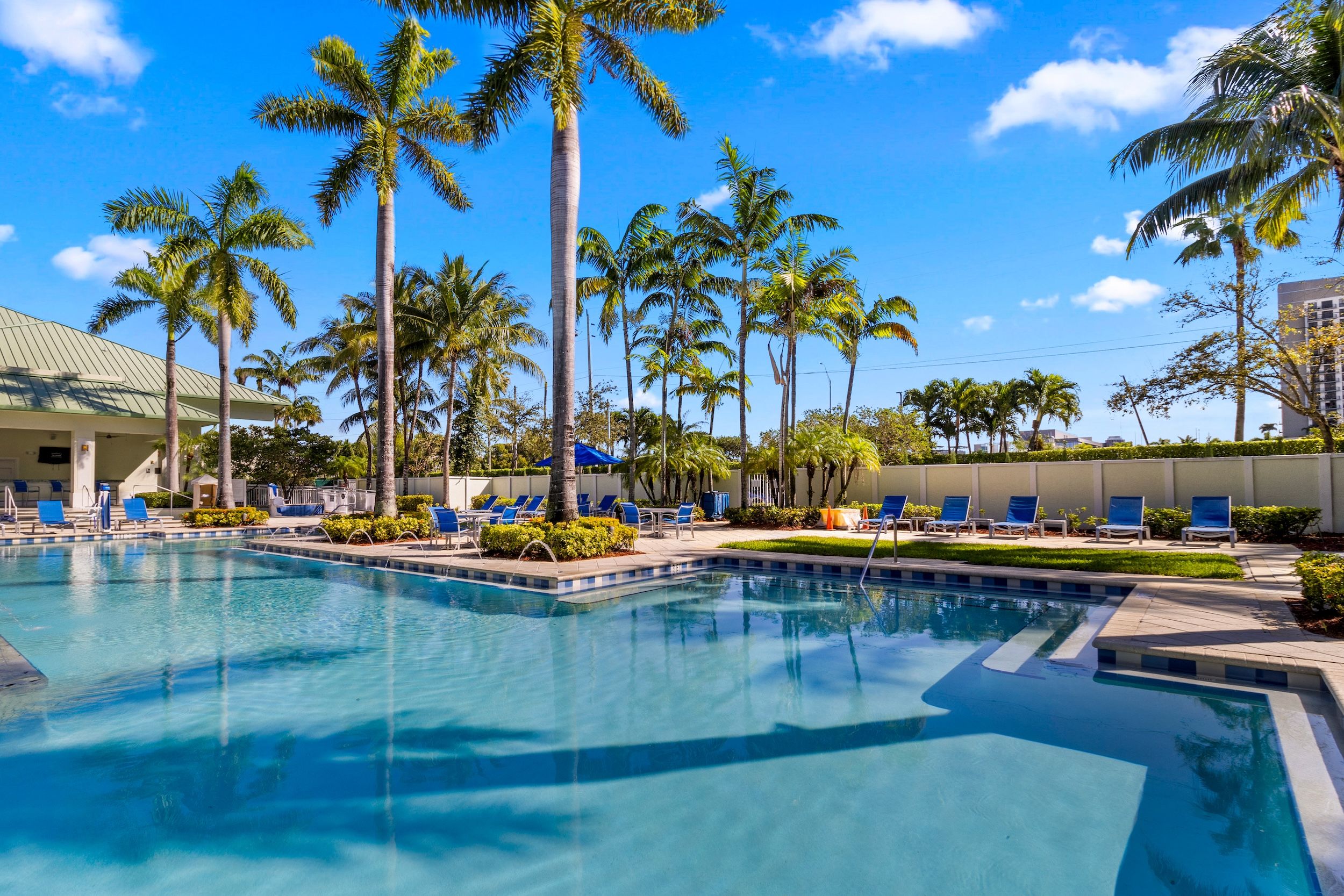 image Large outdoor pool lined with palm trees and lounge chairs, perfect for enjoying sunny days.