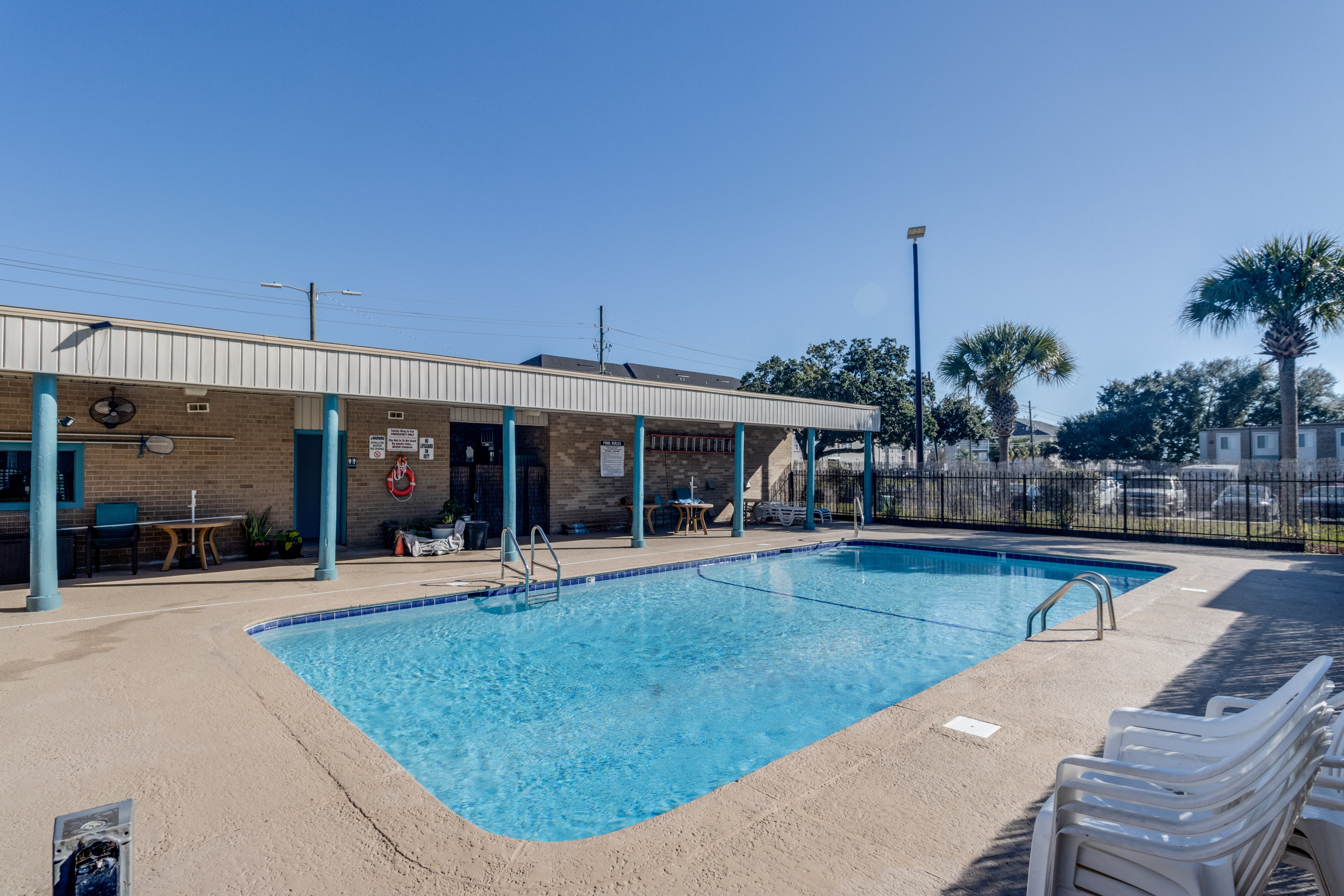 image Cool off in the sparkling pool, framed by palm trees under a blue sky.