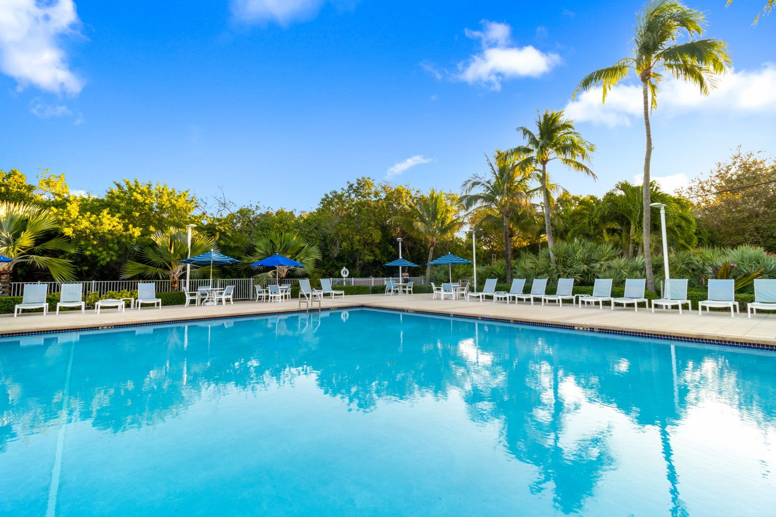 image Dive into the sparkling pool, framed by cozy lounge chairs and swaying palms.