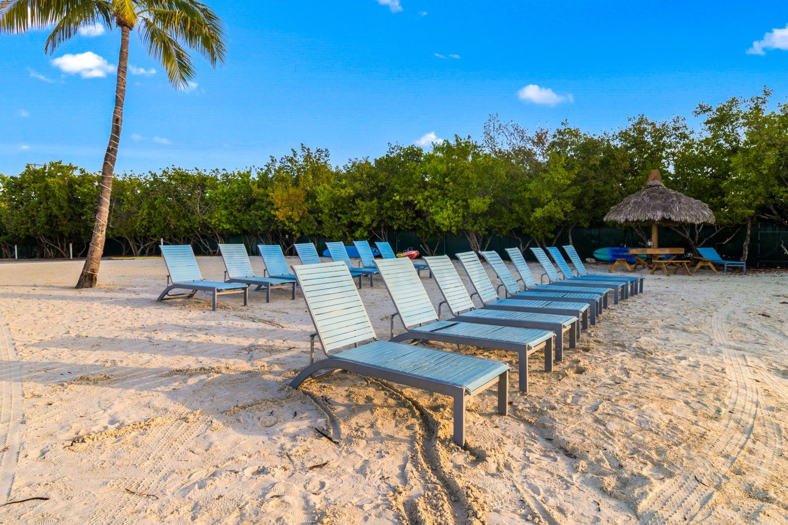 image Unwind on the beach loungers with the sun shining down and the soft sand beneath your feet.
