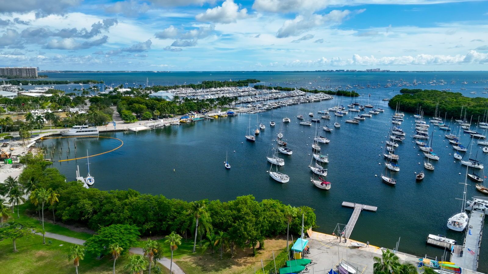 image Experience the calm waters of a bustling marina, framed by lush trees and a sky alive with clouds.
