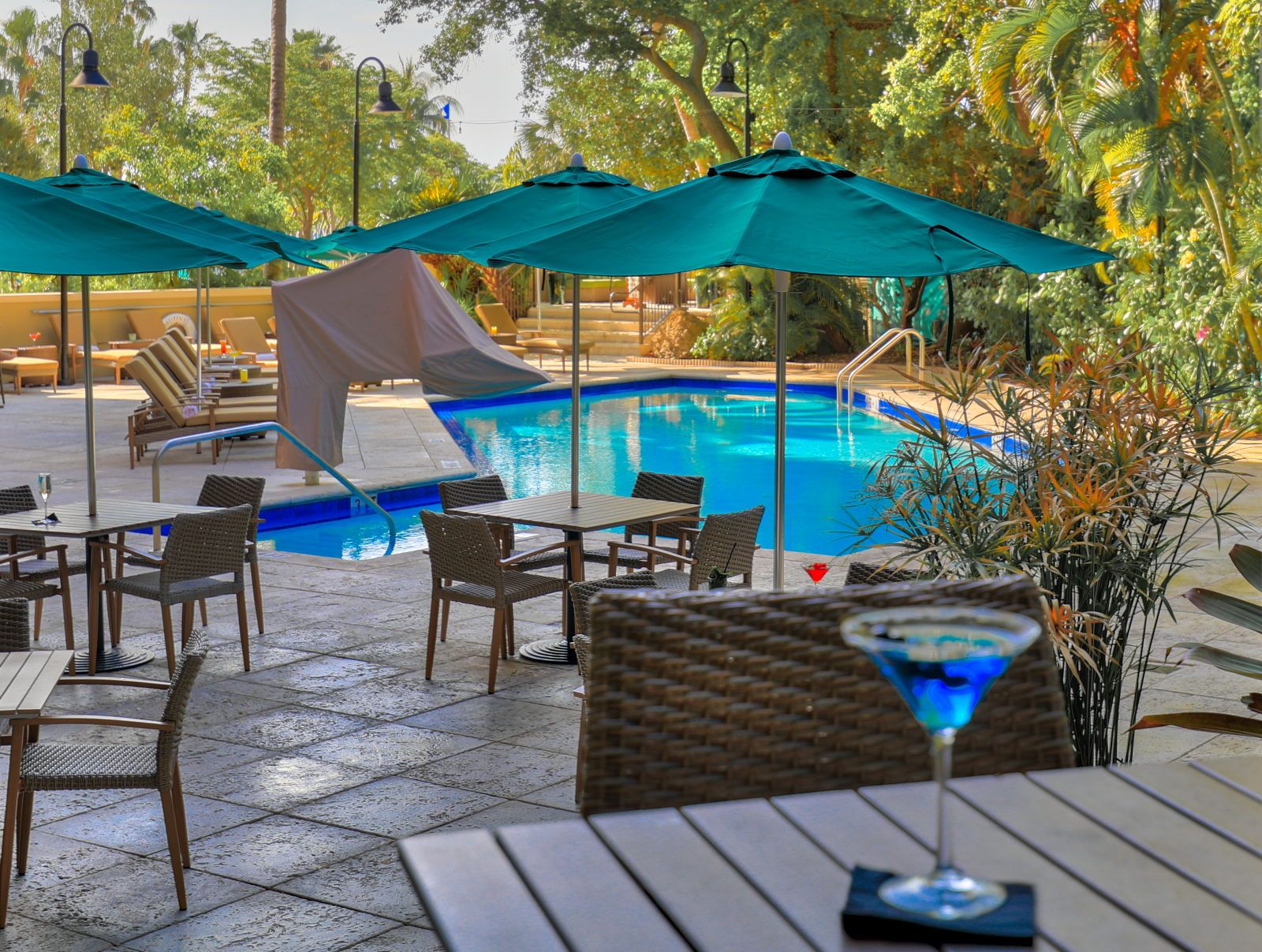image Savor a cocktail by the poolside, where relaxation meets tropical vibes.