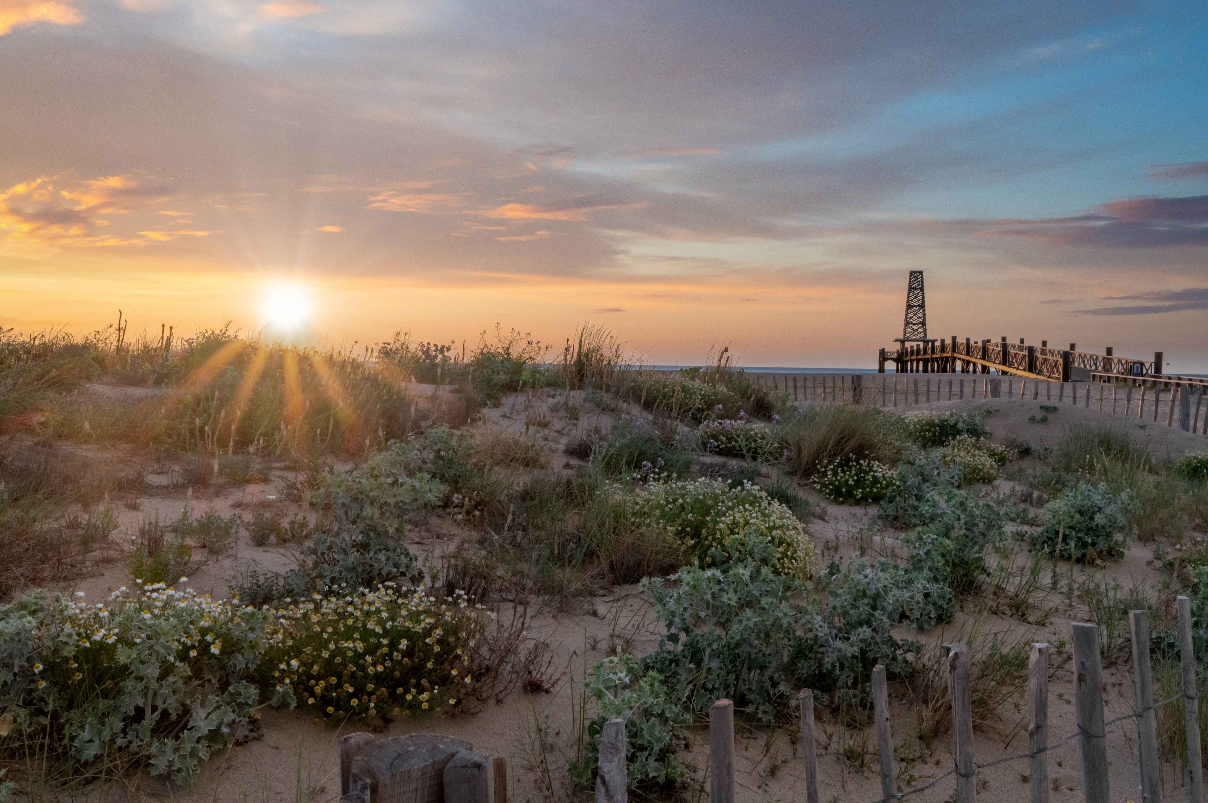 image Sun rising over the dunes — mornings on the Leucate coastline, where the residence meets 16 km of sandy beach.