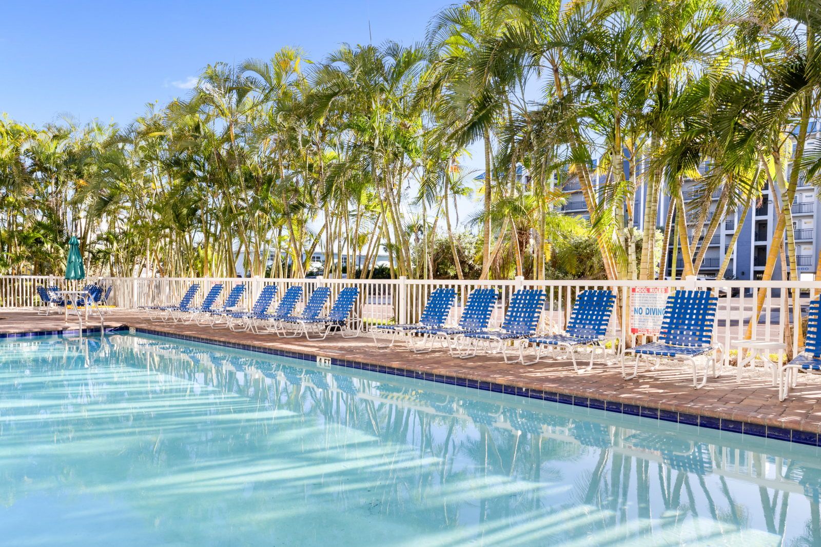 image Relax by the shimmering pool, surrounded by lush palms and comfortable lounge chairs.