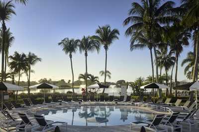 Afternoon light filters through the palms onto the pool terrace, where water features add a background hum