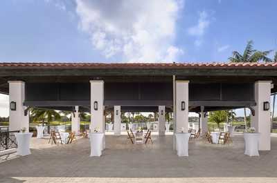 Outdoor event lawn set against palm trees and a waterway — a backdrop that needs no decoration