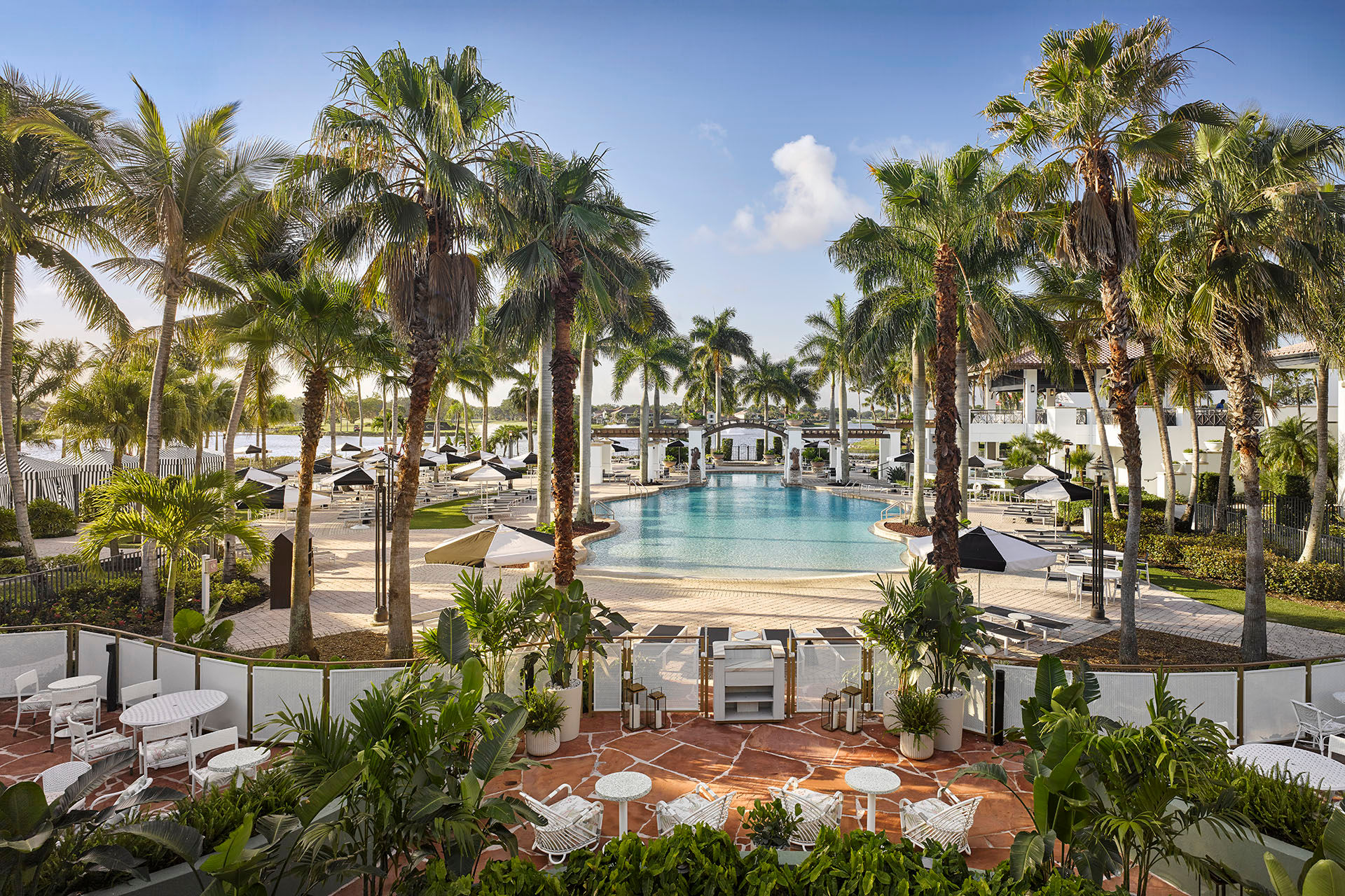 image Palm trees frame the heated outdoor pool — pull up a lounge chair and spend the afternoon in the Florida sun