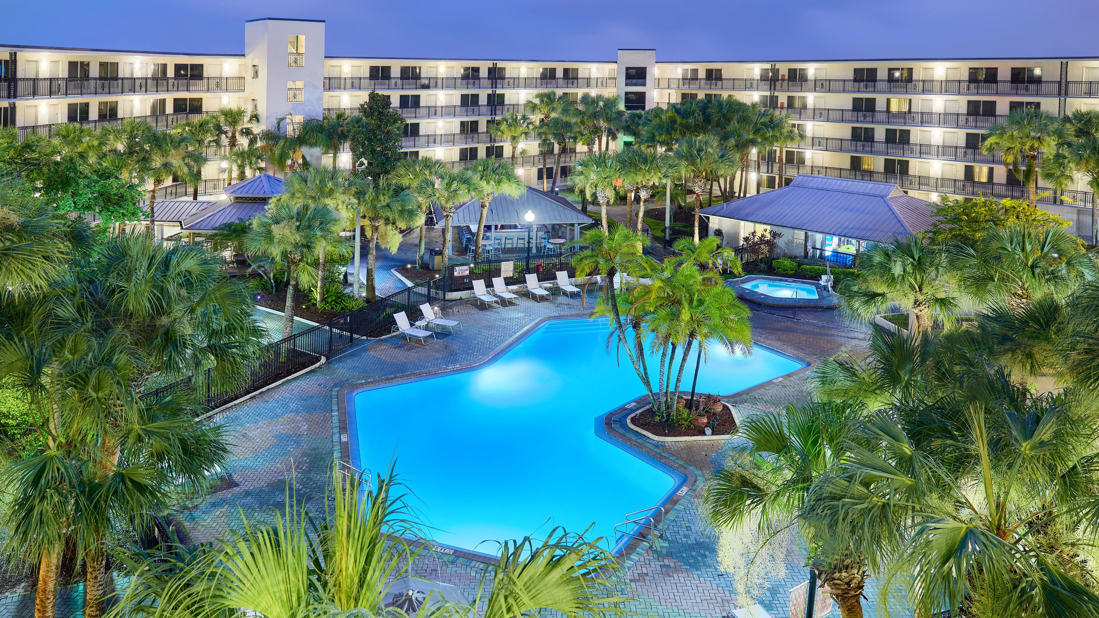 image Illuminated pool area with tropical landscaping at night.