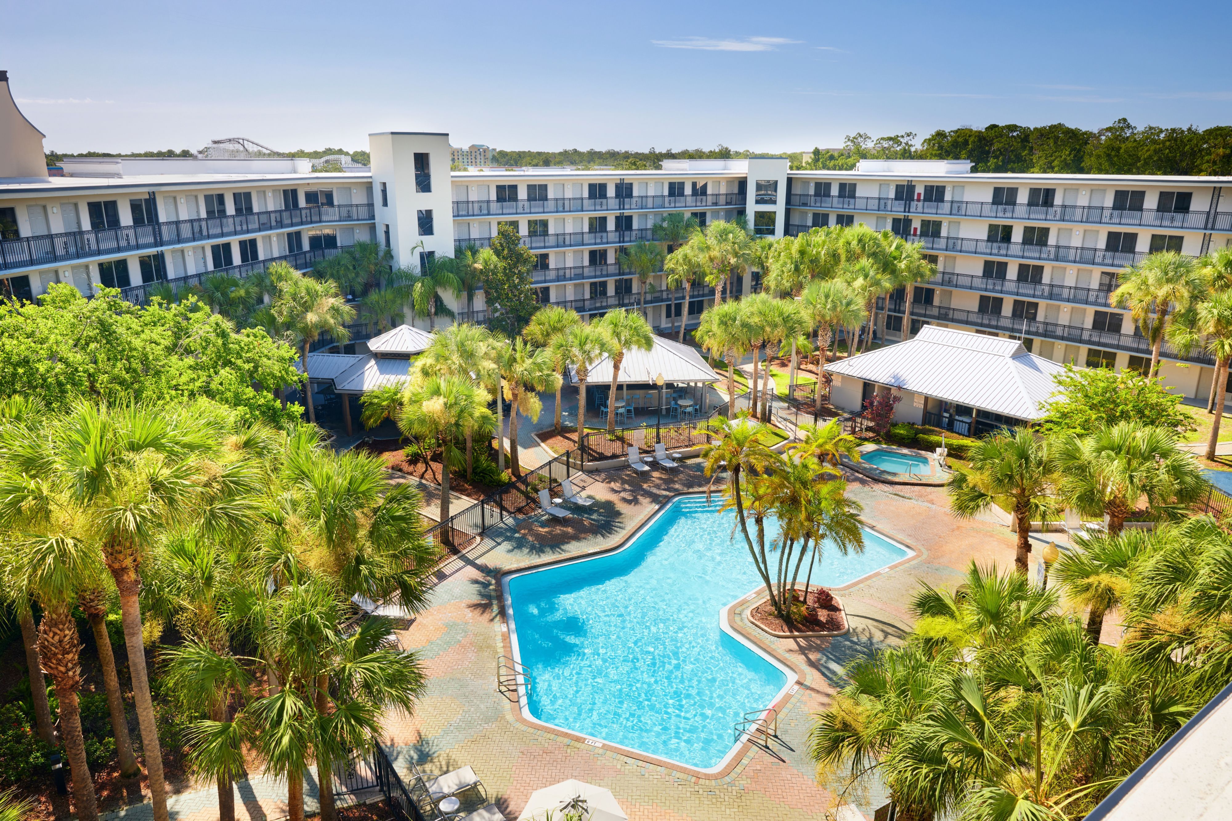 image Outdoor pool surrounded by palm trees and lounge chairs.