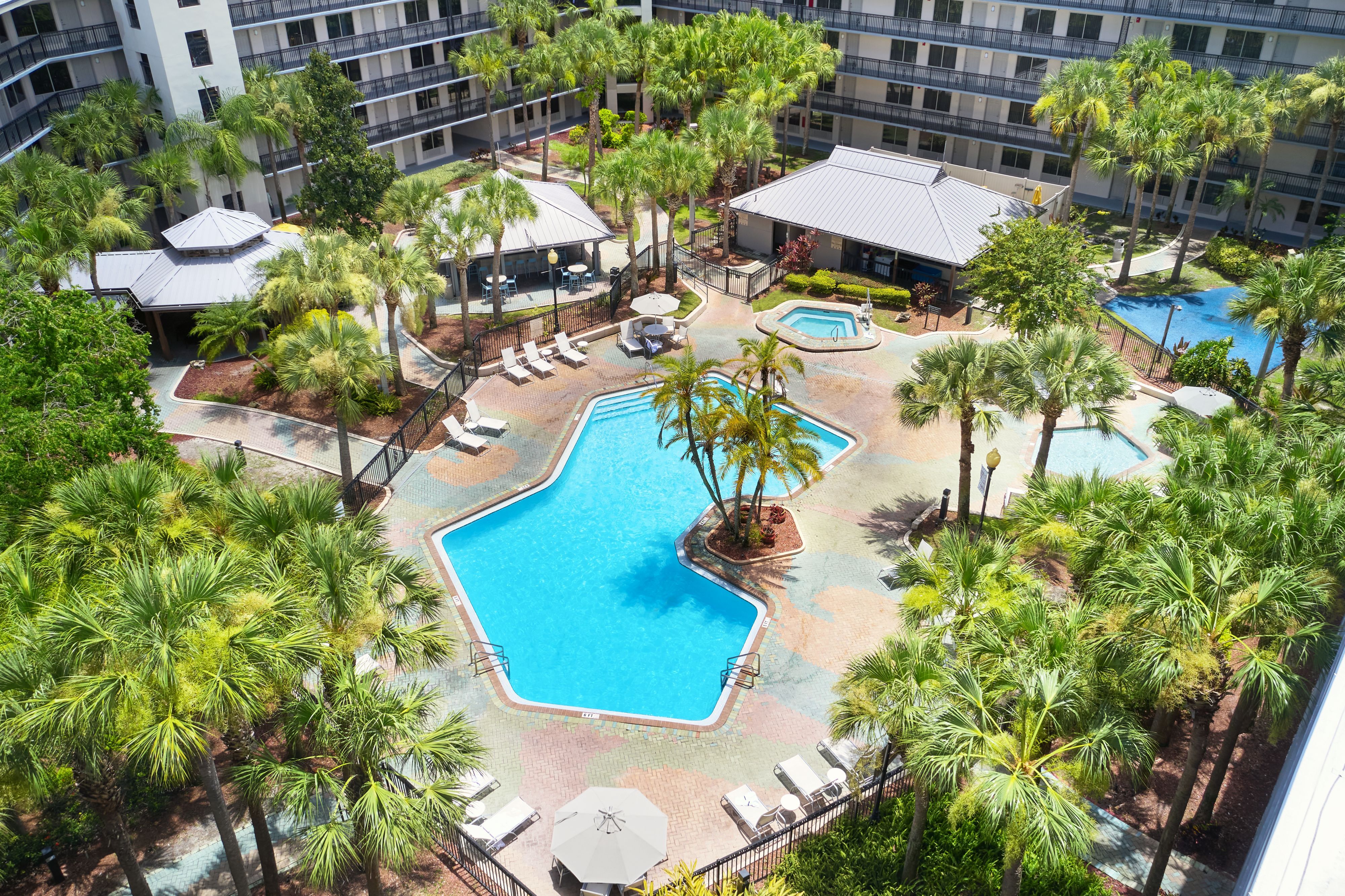 image Pool area surrounded by palm trees and lounging chairs.