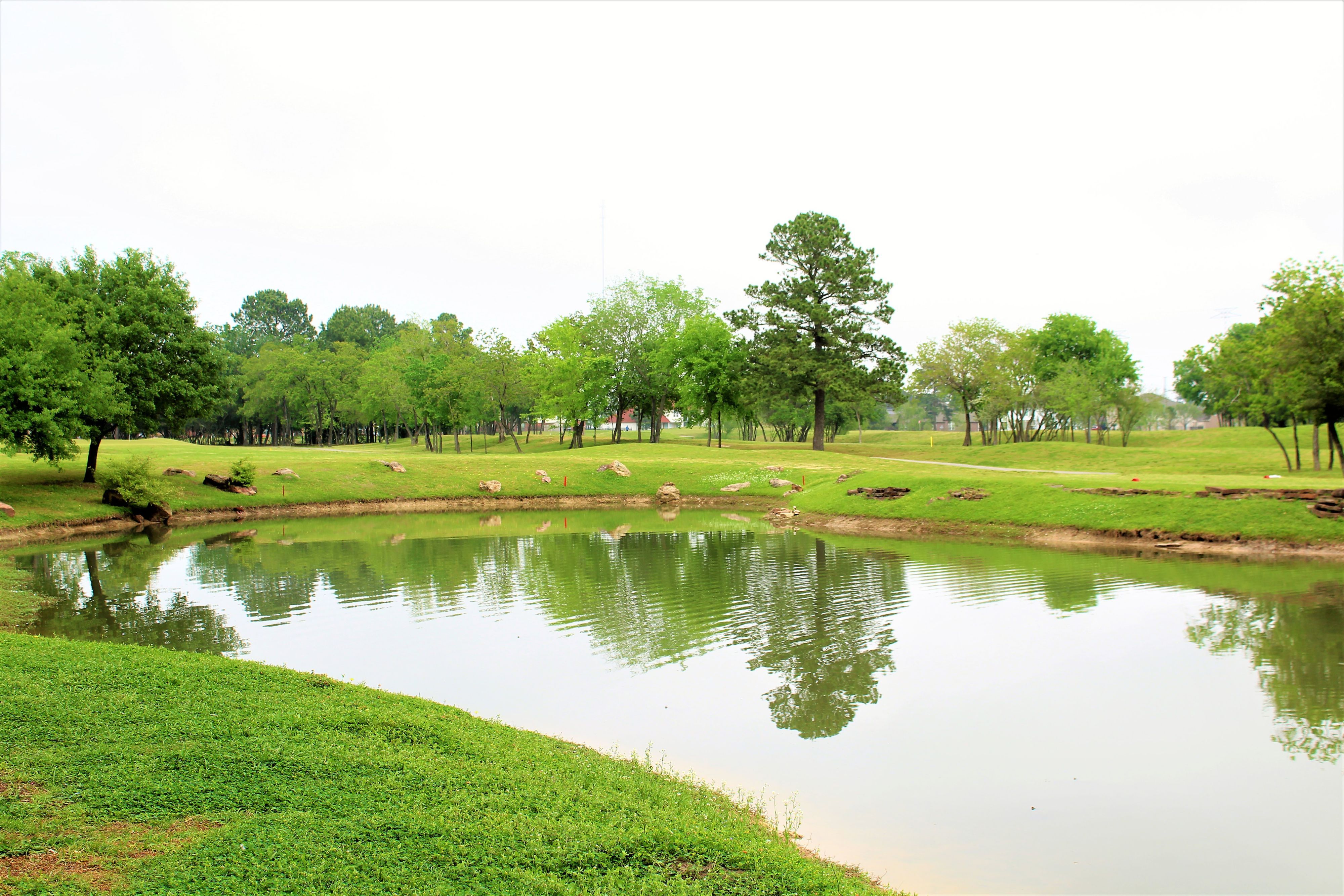 image Tranquil pond with rocky banks and tree-lined green surroundings near the property