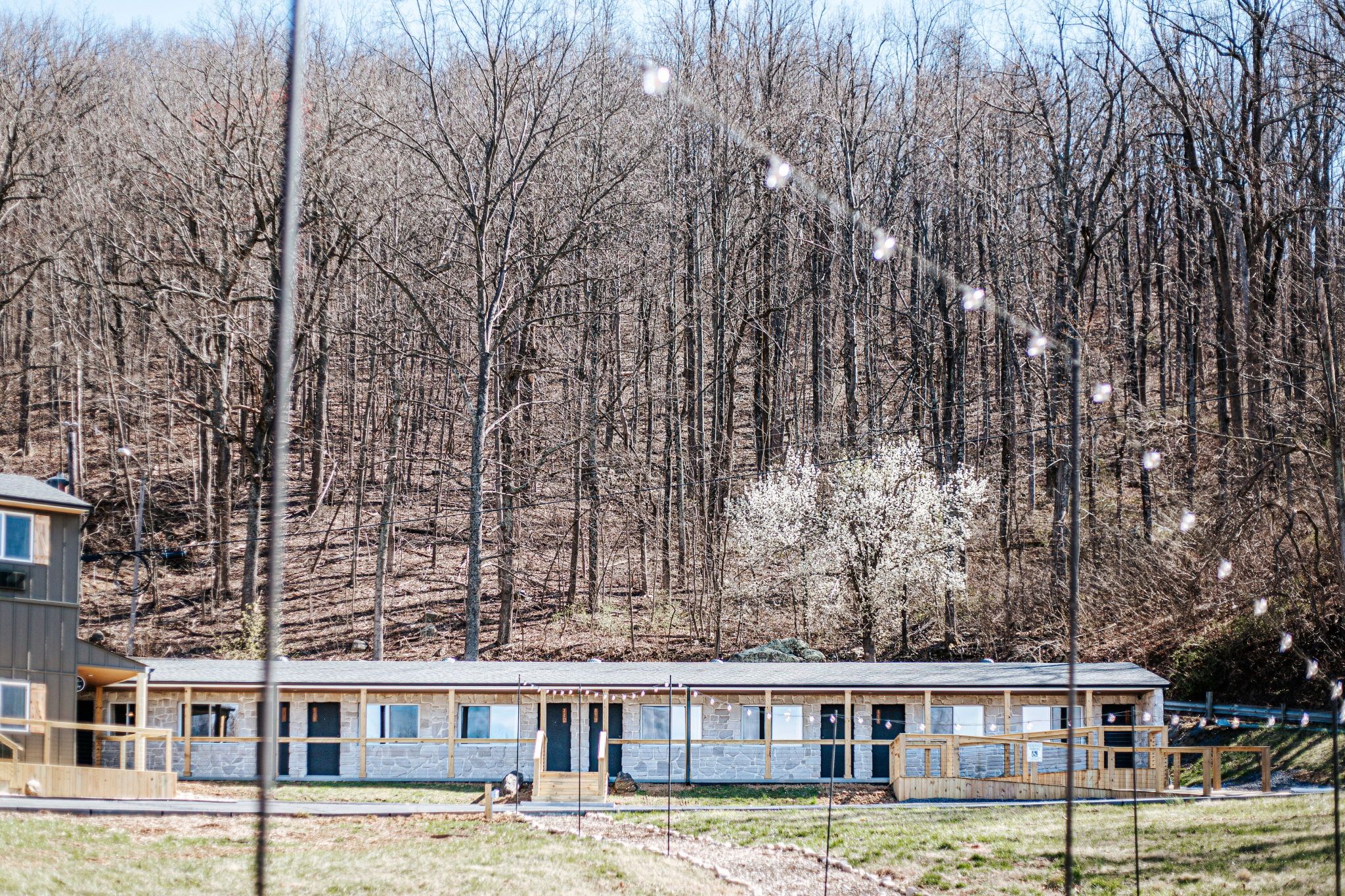 image Charming accommodations nestled against a backdrop of towering trees and nature.