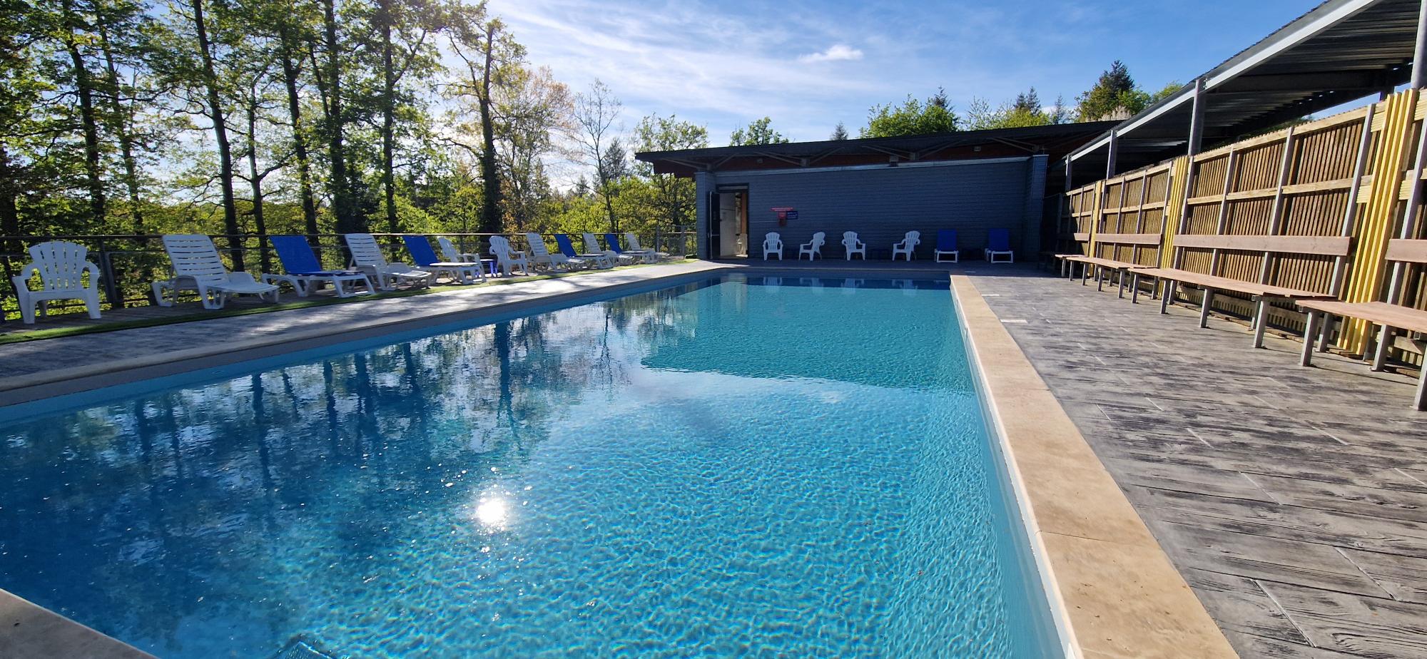 image Pool deck with blue and white loungers lined up under the trees.