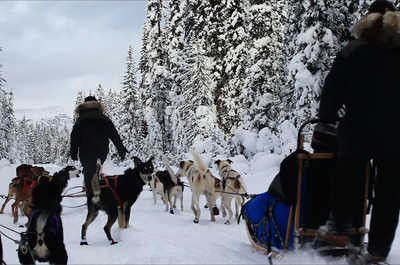 Try dog-sledding in the winter.