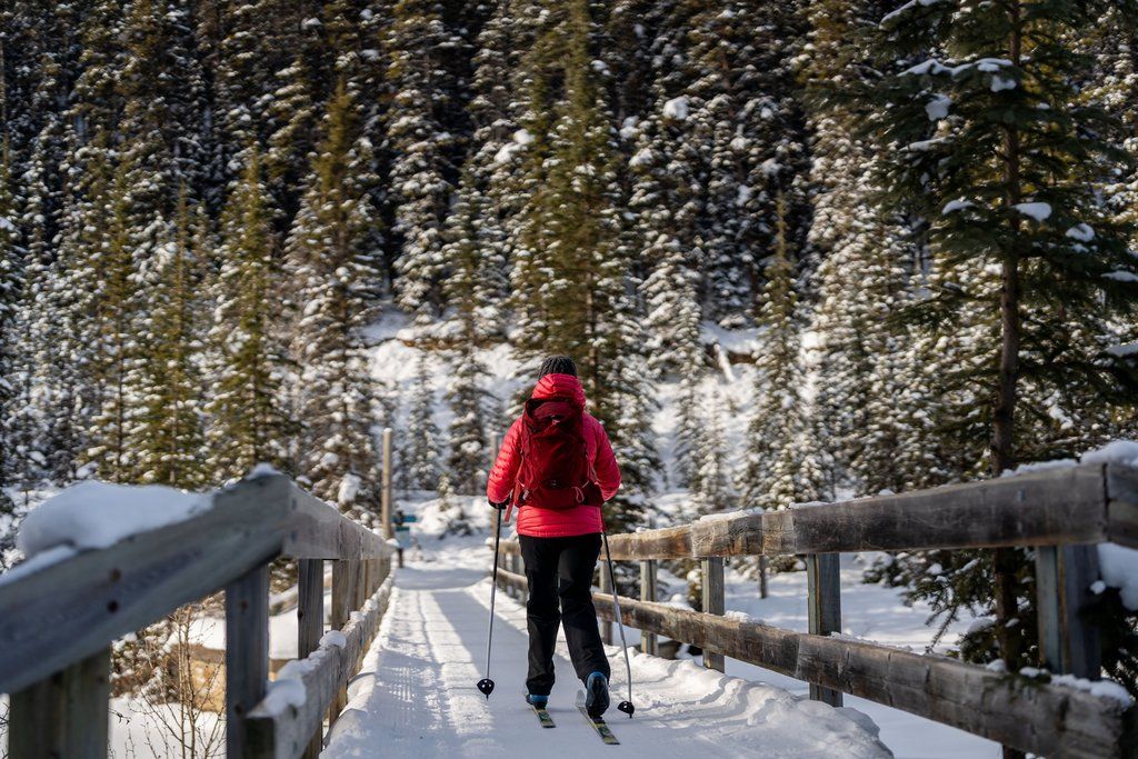 image Traverse the snow-covered bridge, surrounded by snowy pines, and breathe in the crisp, refreshing air.