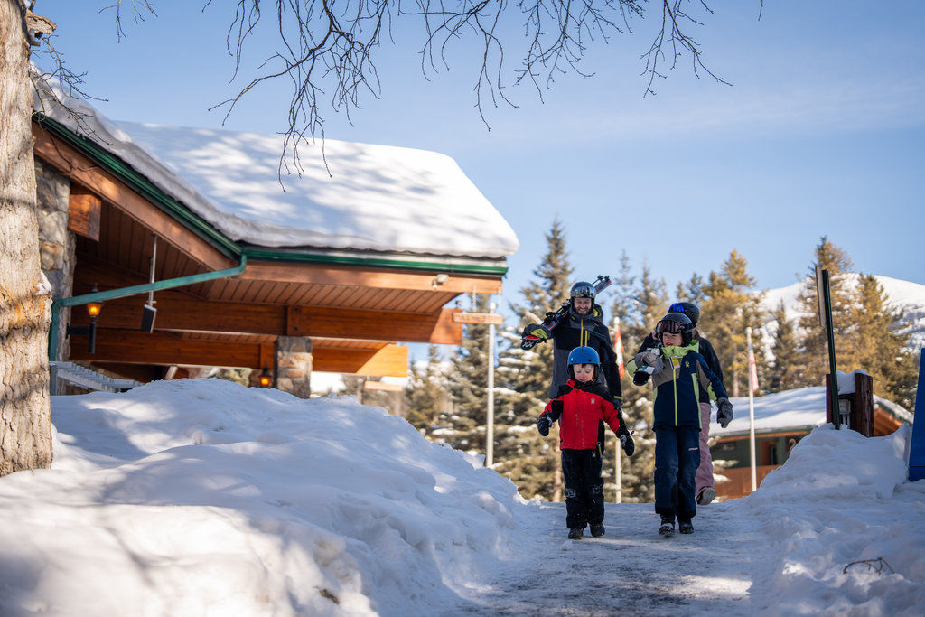 image Stroll through the snowy paths, with warm sunlight and snowy trees guiding your way.