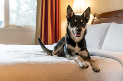 Inquire with our team about pet-friendly units.