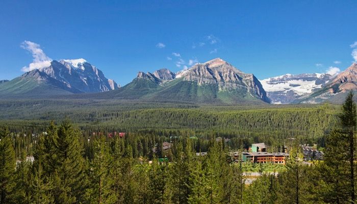 image Breathe in the fresh mountain air as lush trees frame a breathtaking landscape.