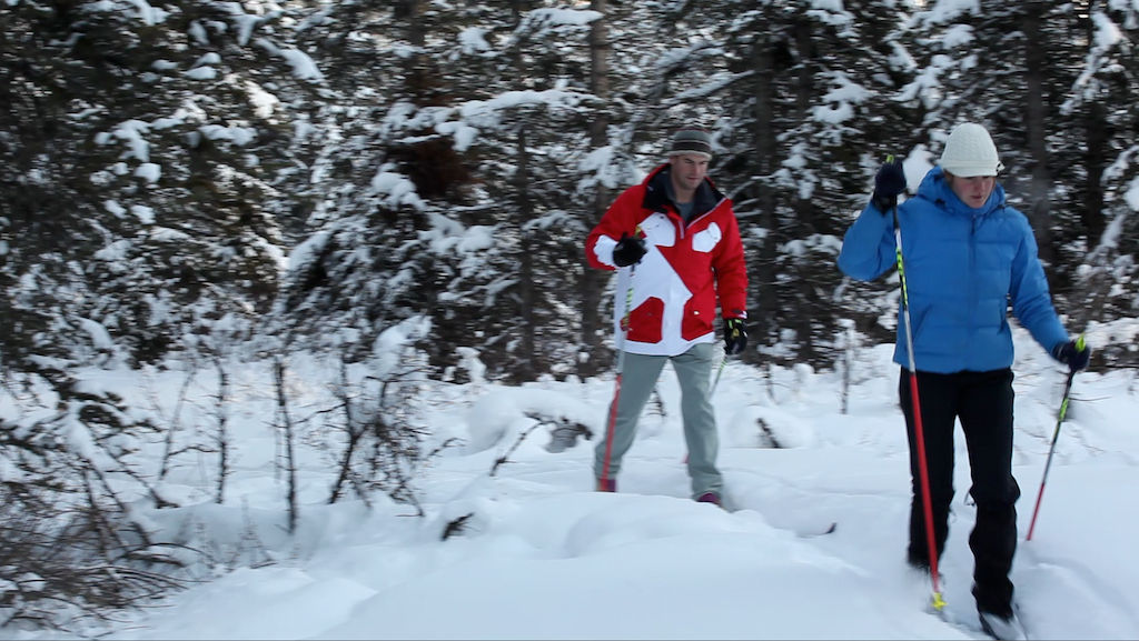 image Enjoy cross-country skiing.