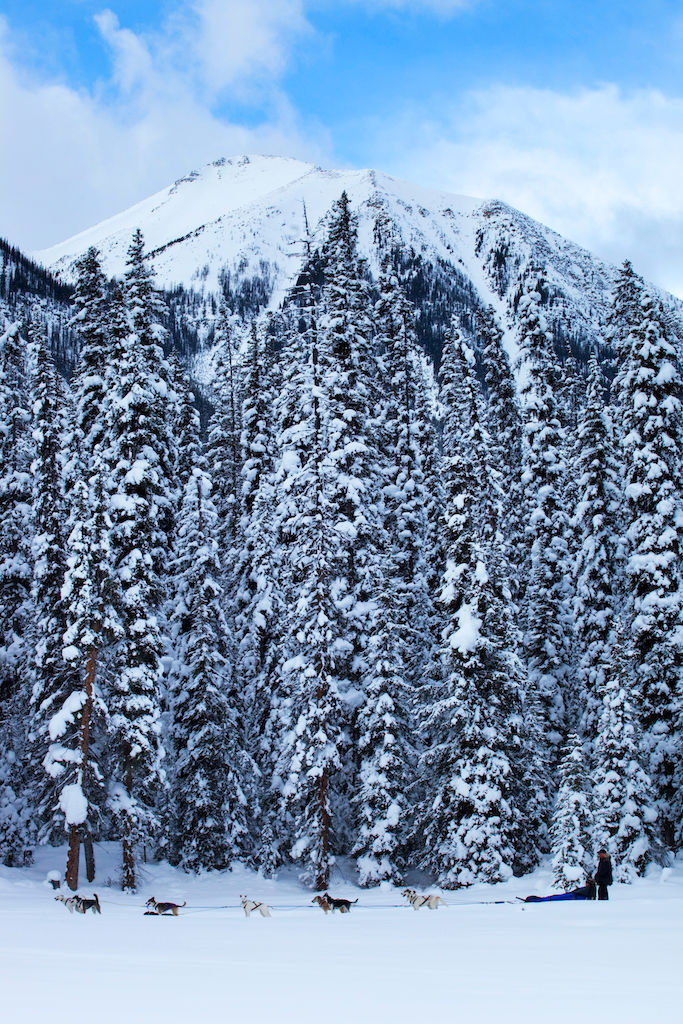 image Enjoy a memorable ski holiday.