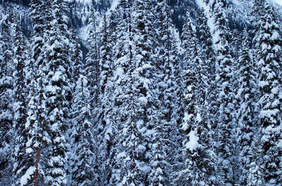 Enjoy a memorable ski holiday.