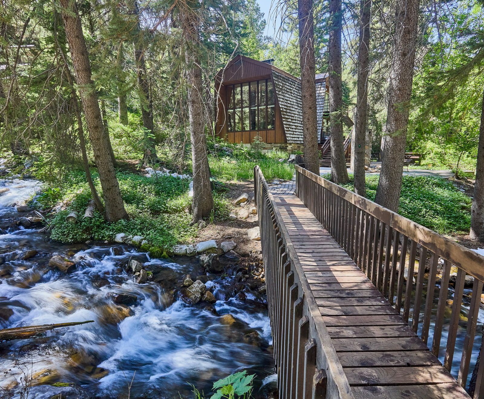 image Wooden footbridge crosses a mountain stream, surrounded by tall trees and rushing water below