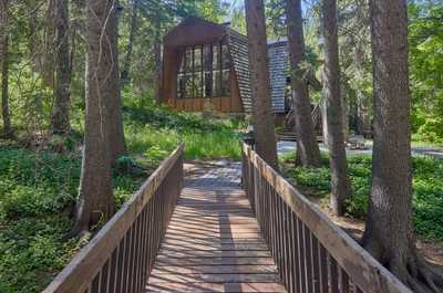 Private wooden bridge crosses the stream, leading to the cabin through lush green foliage