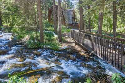 Stream and private bridge viewed from the bank, with the cabin visible through the trees