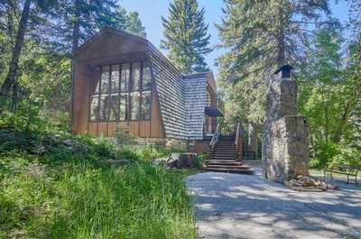 Sloped shingle roof and stone chimney viewed from the yard, backed by dense pine forest