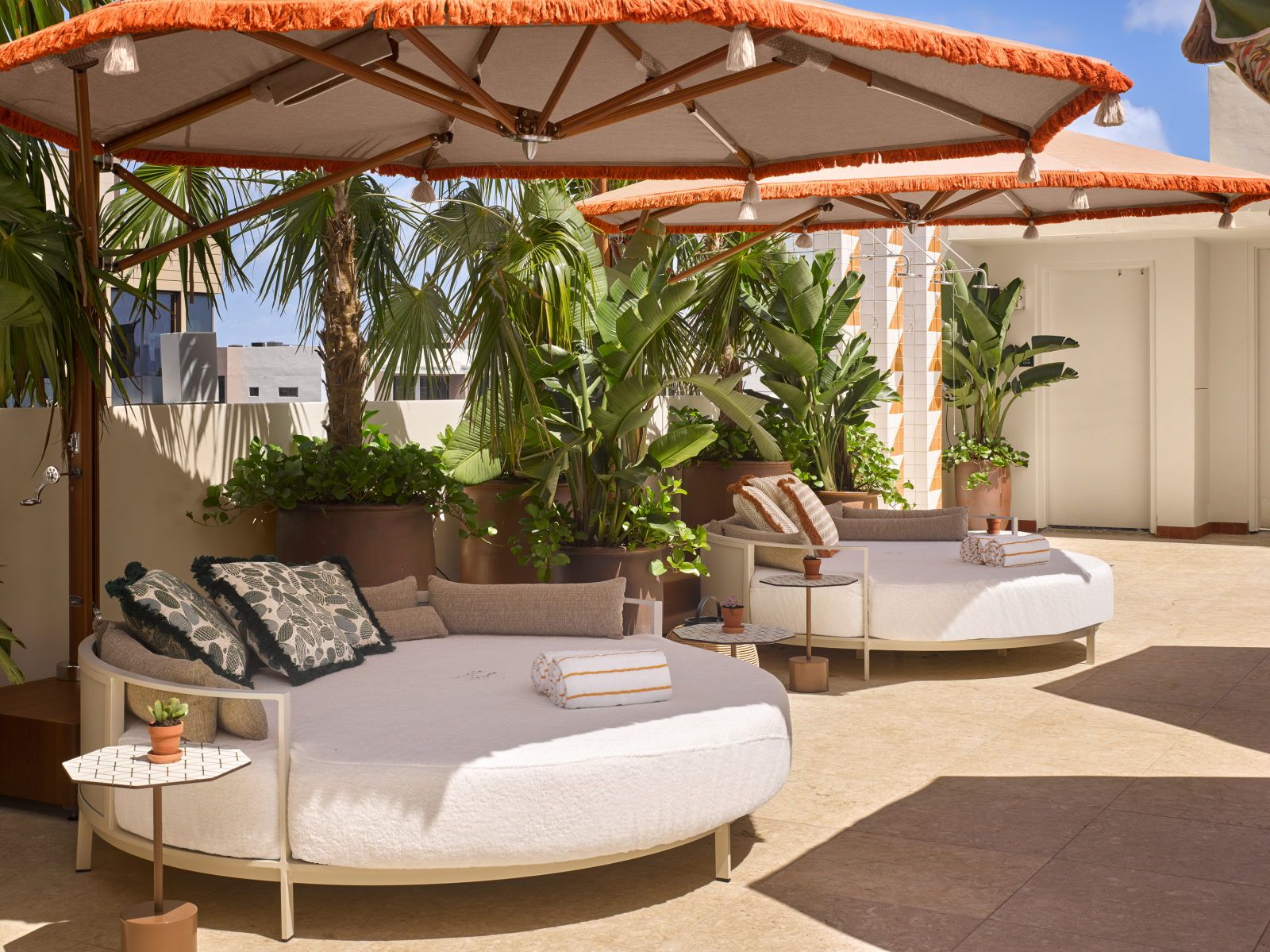 image Sun loungers under shade umbrellas, surrounded by potted palms at the outdoor pool terrace