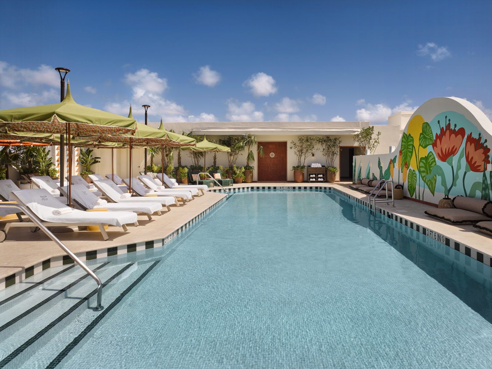 image Dive into refreshing waters at the rooftop pool, framed by lush landscaping and colorful murals