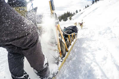 Dog sled teams cut fresh trails through Bridger-Teton National Forest each winter.