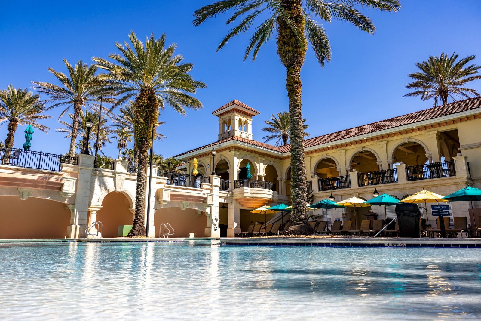 image Enjoy the palm-tree lined pool. 