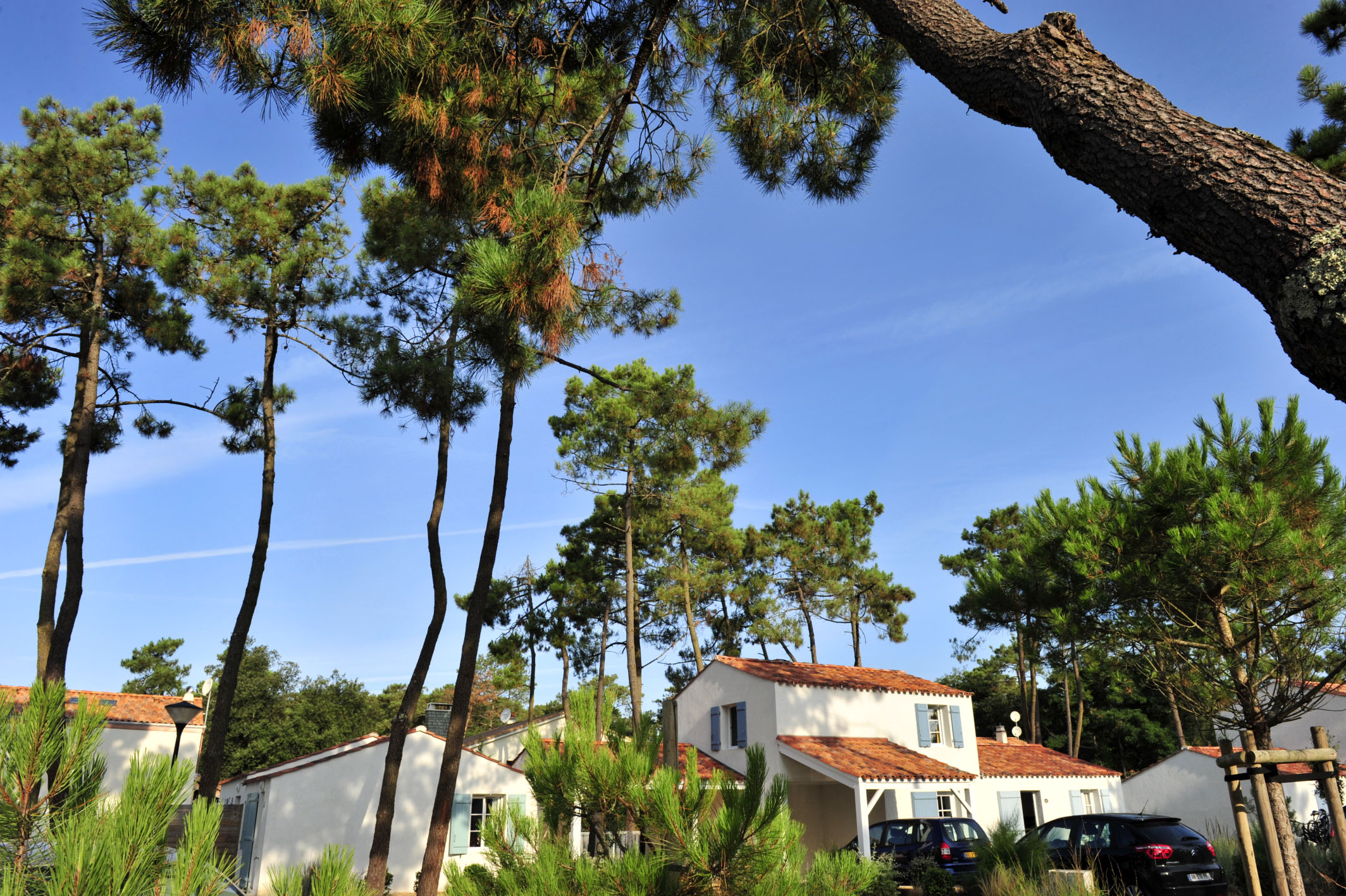 image Surrounded by pine forest, this residence puts you minutes from the Blue Flag beaches of the Cote de Lumiere.