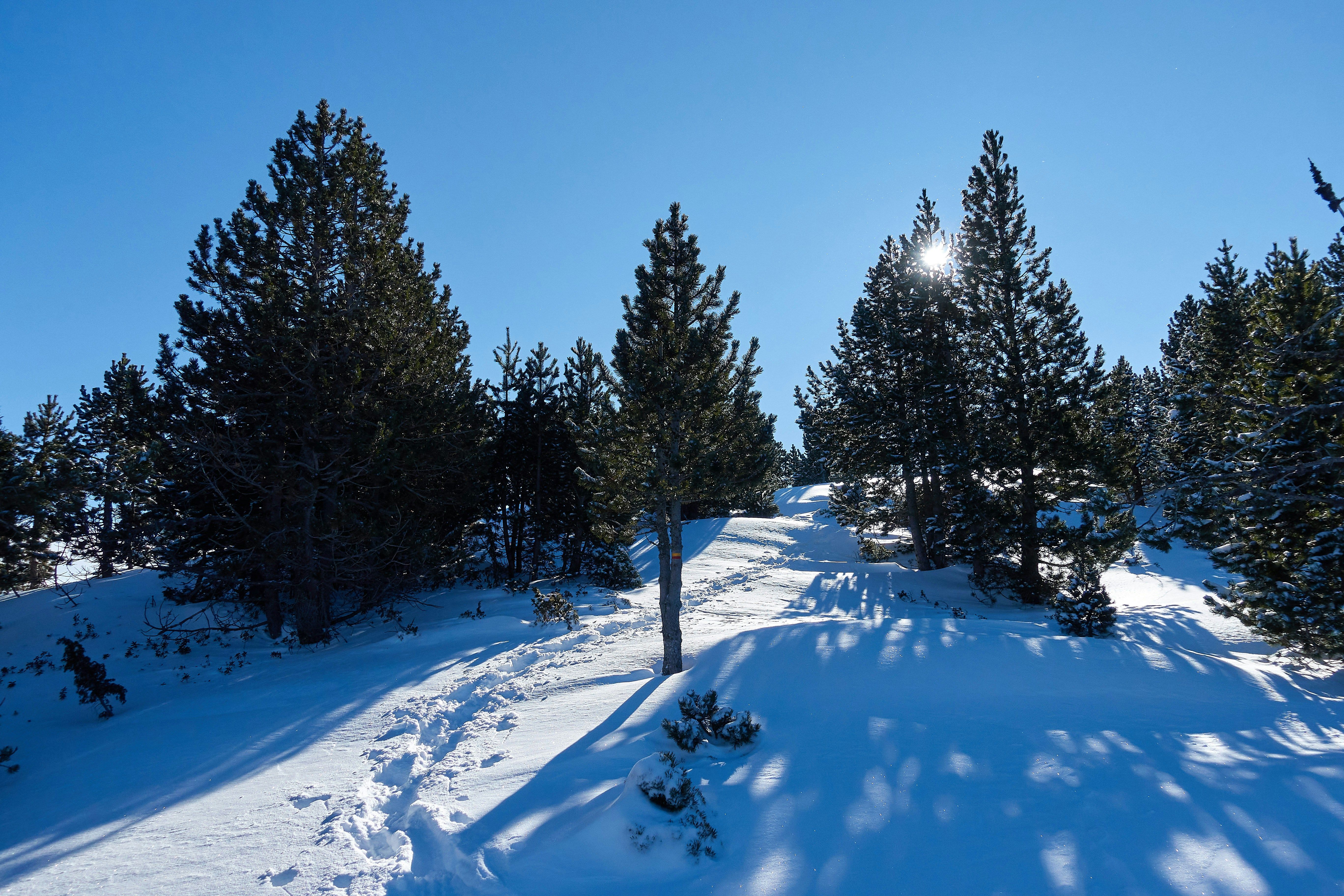 image Fresh snow blankets the trails around Ax-les-Thermes, ready for skiing or snowshoeing.