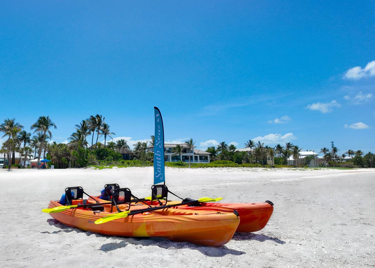 image Kayaks line up on the beach, ready to launch into calm waters.