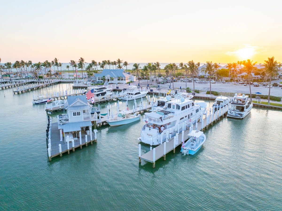 image Explore the marina where yachts sit moored along the docks against an open sky.