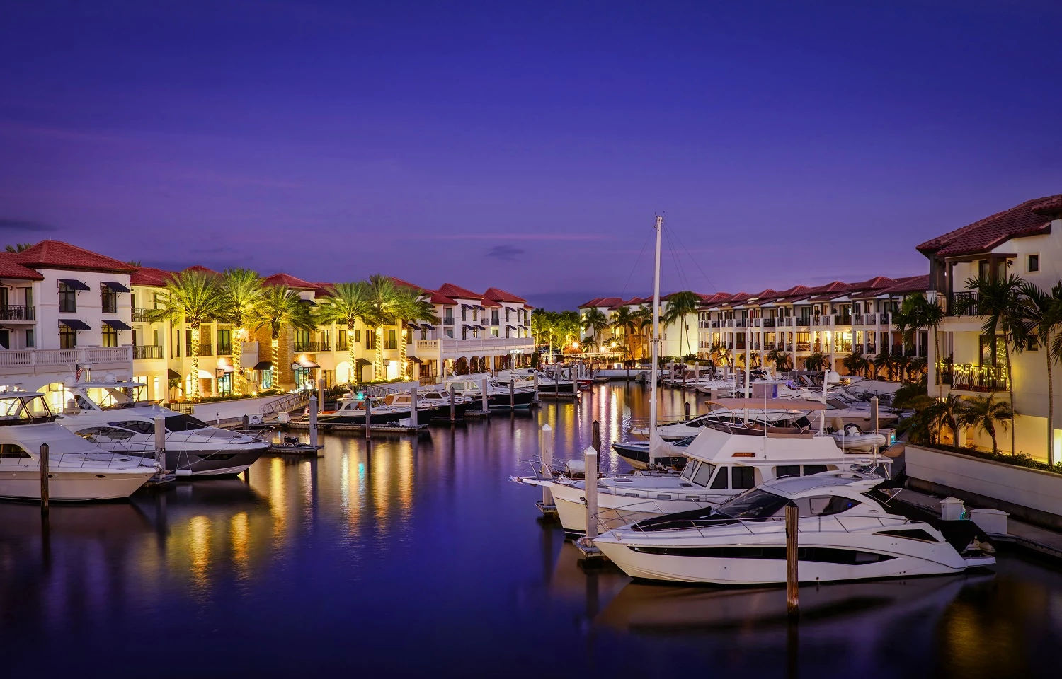 image Marina at dusk with moored yachts and the city skyline