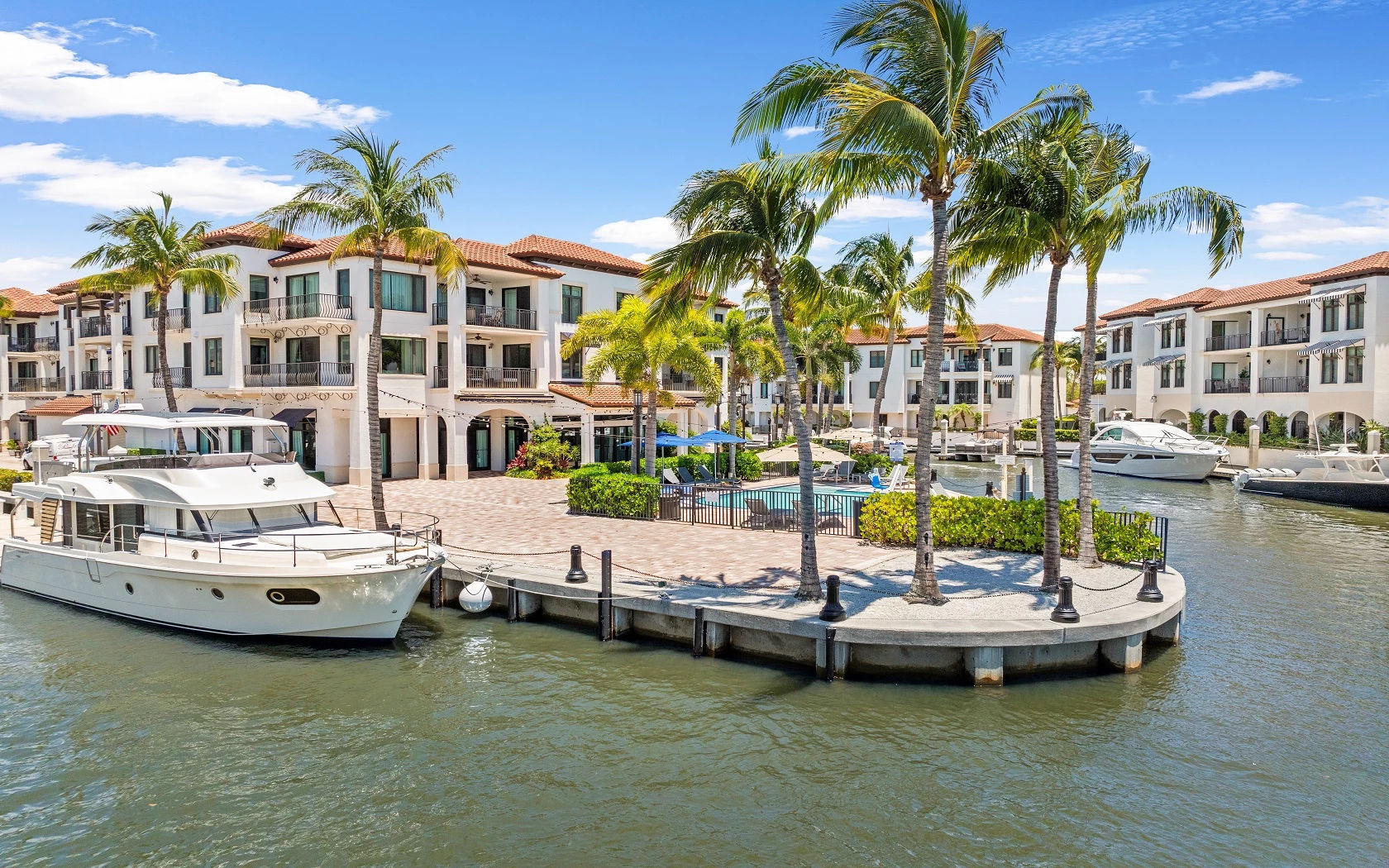 image Marina promenade with boats, benches, and palm trees