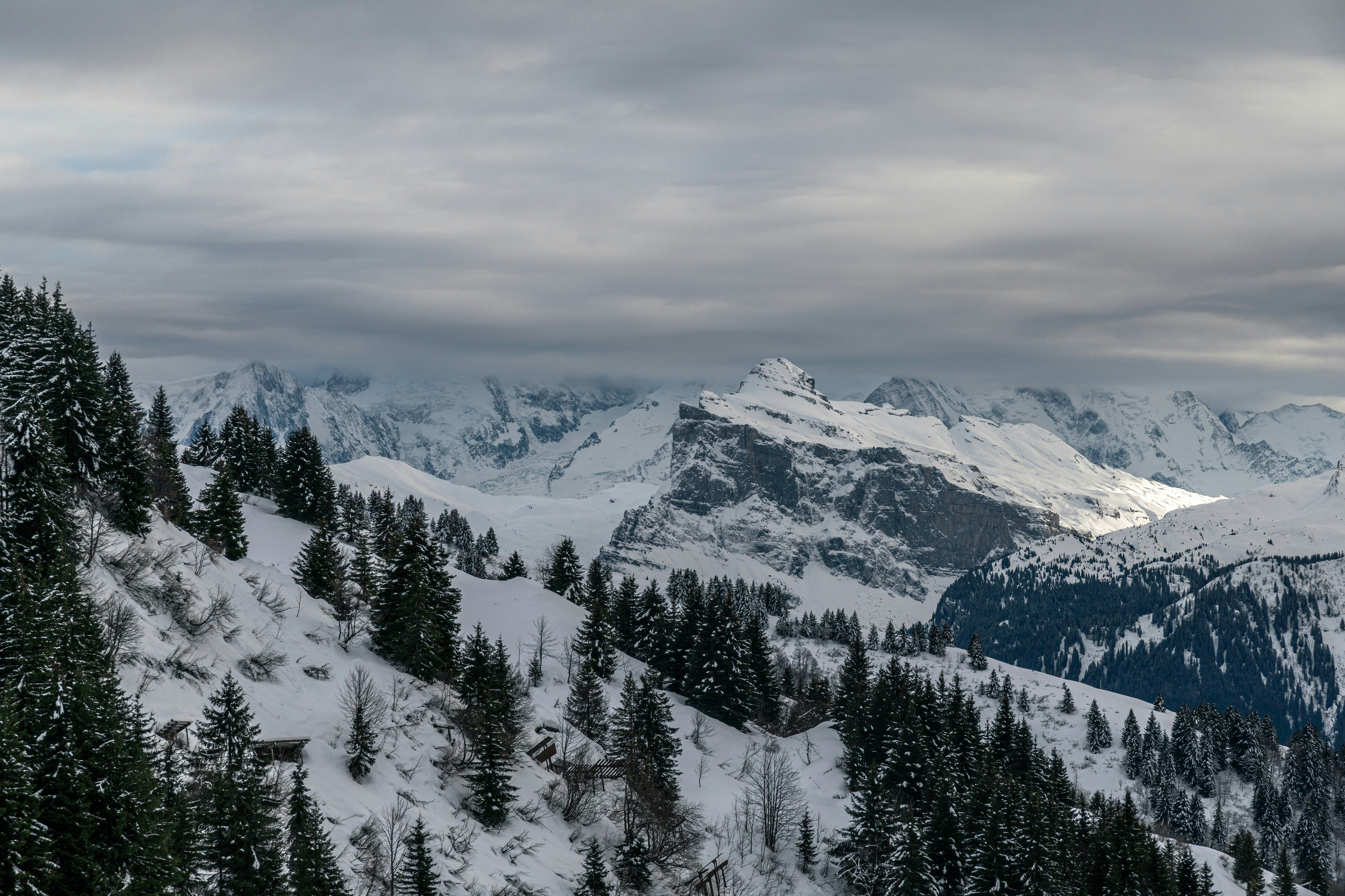 image Snow-dusted peaks above dark pine forest, crisp mountain air for winter days.